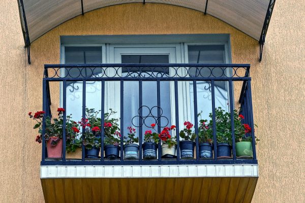 Co zrobić, gdy gołębie niszczą balkon?